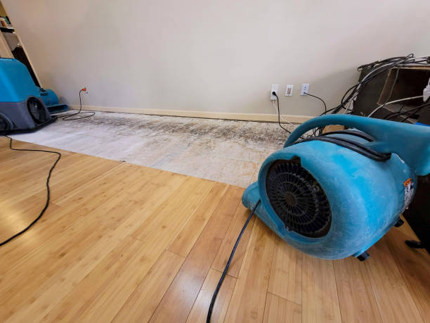 Professional Water Damage Repair technician working in Fredonia, NY